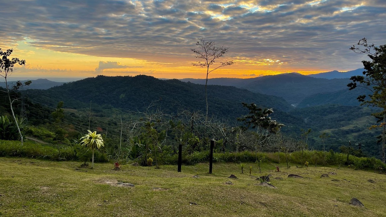 Photo of Others in Pacuare Reserve