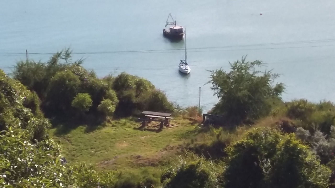 Photo of Others in Diamond Harbour