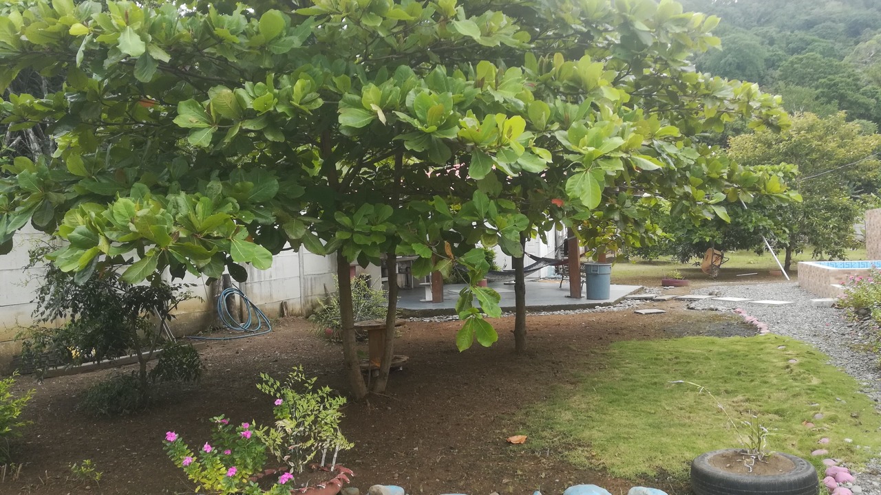 Photo of Outdoor in Cahuita