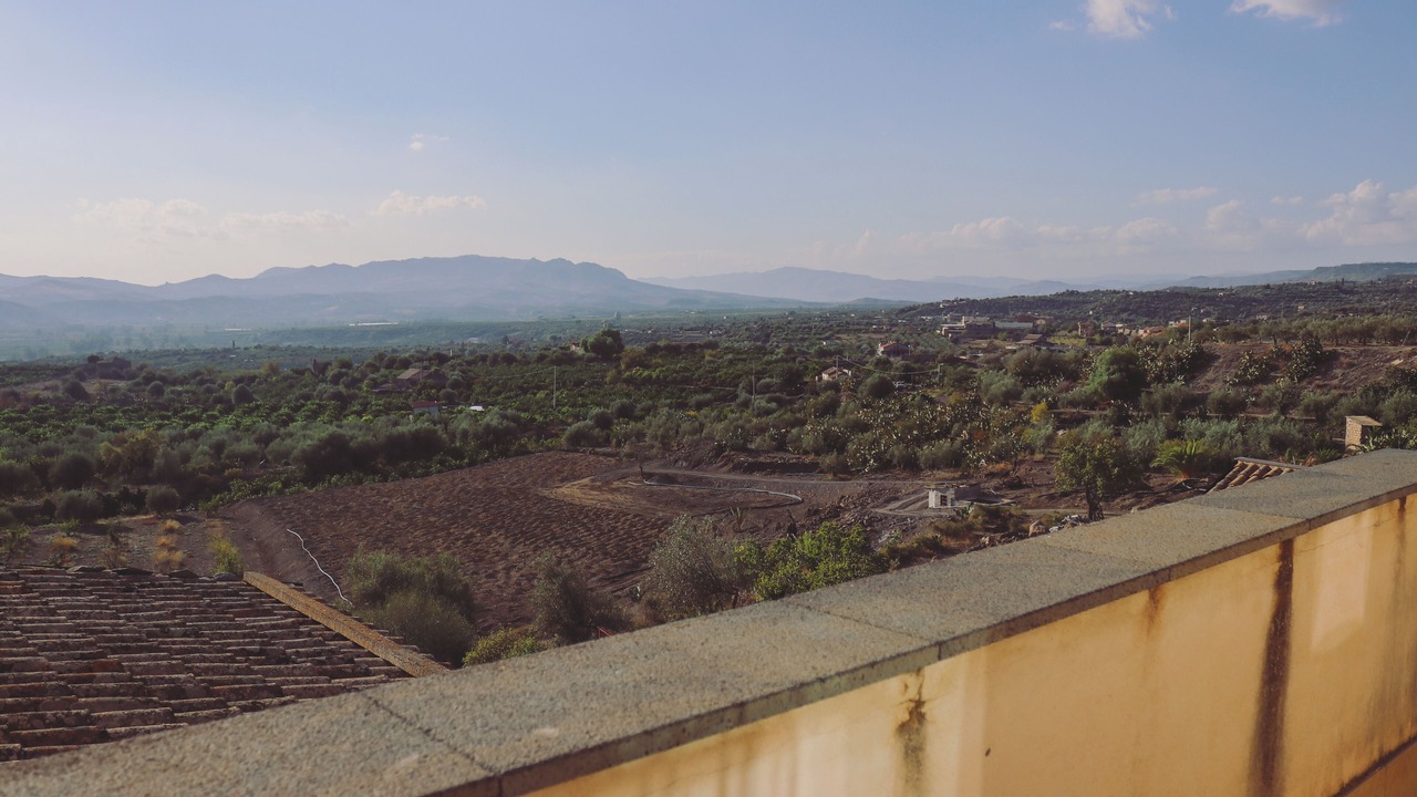 Photo of Others in Paterno