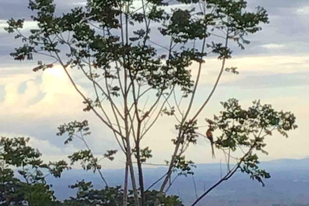 Photo of Others in Penas Blancas