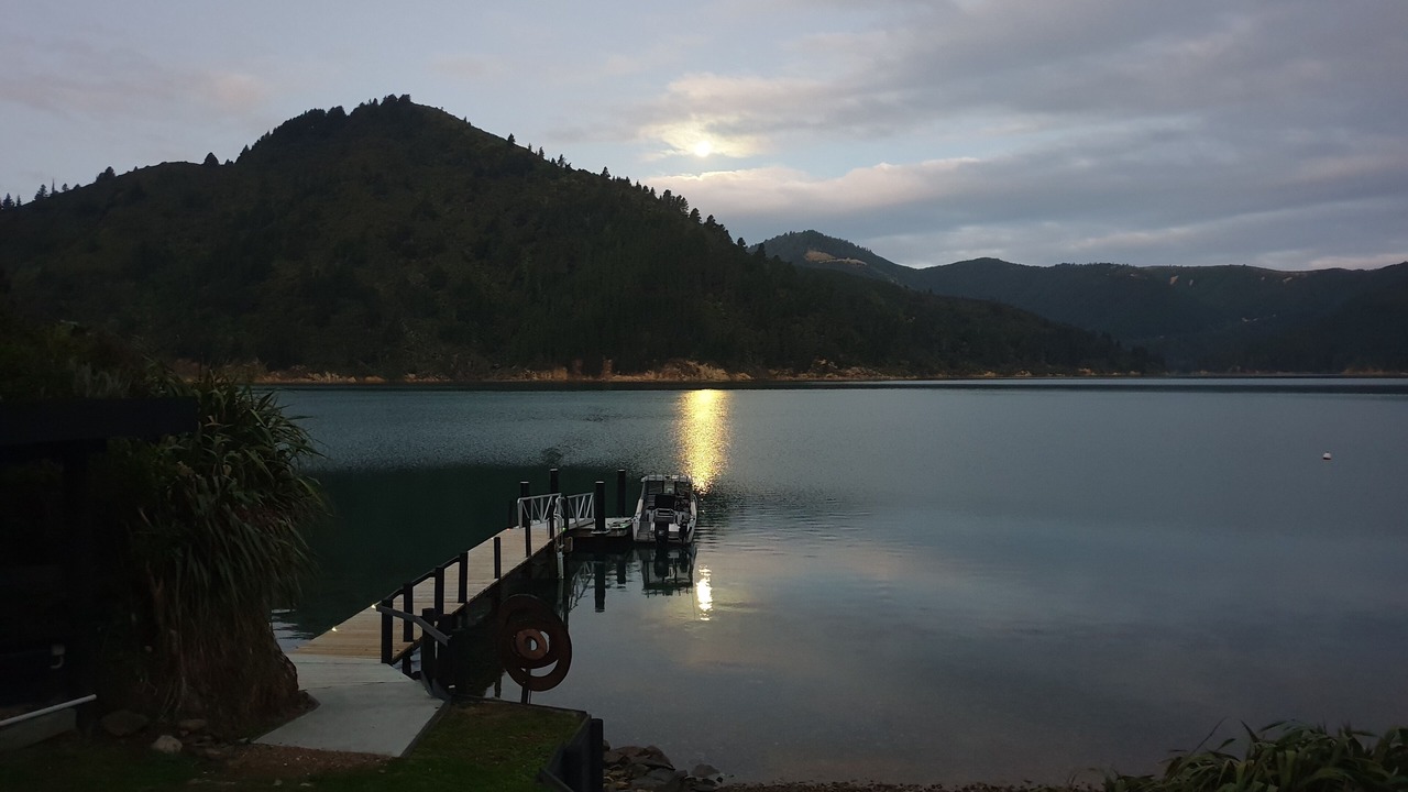 Photo of Others in Shakespeare Bay