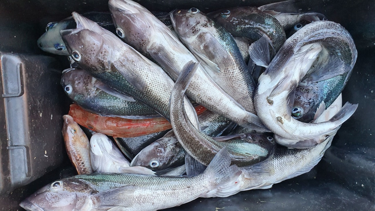 Photo of Others in Shakespeare Bay