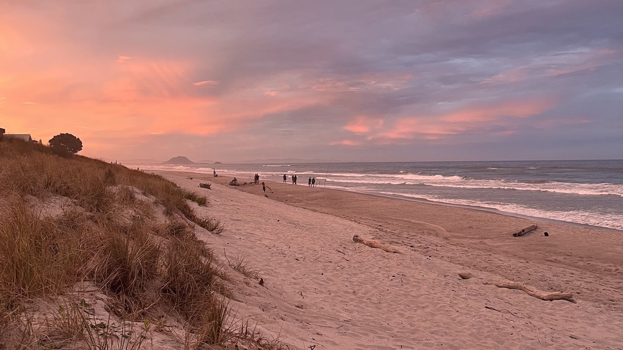Photo of Others in Papamoa Beach
