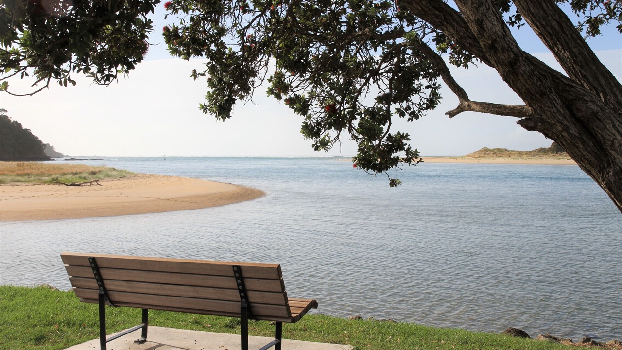Photo of Others in Ngunguru