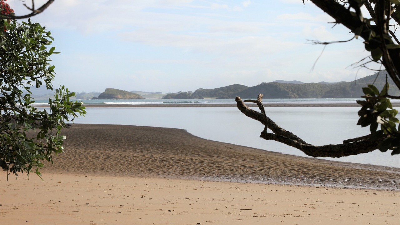 Photo of Others in Ngunguru