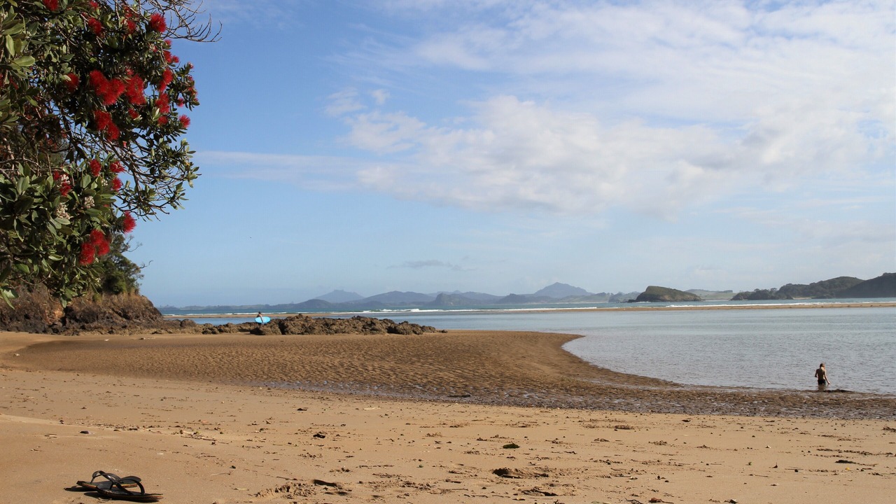 Photo of Others in Ngunguru