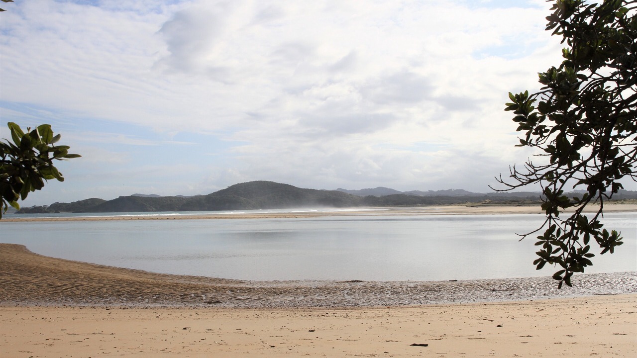 Photo of Others in Ngunguru