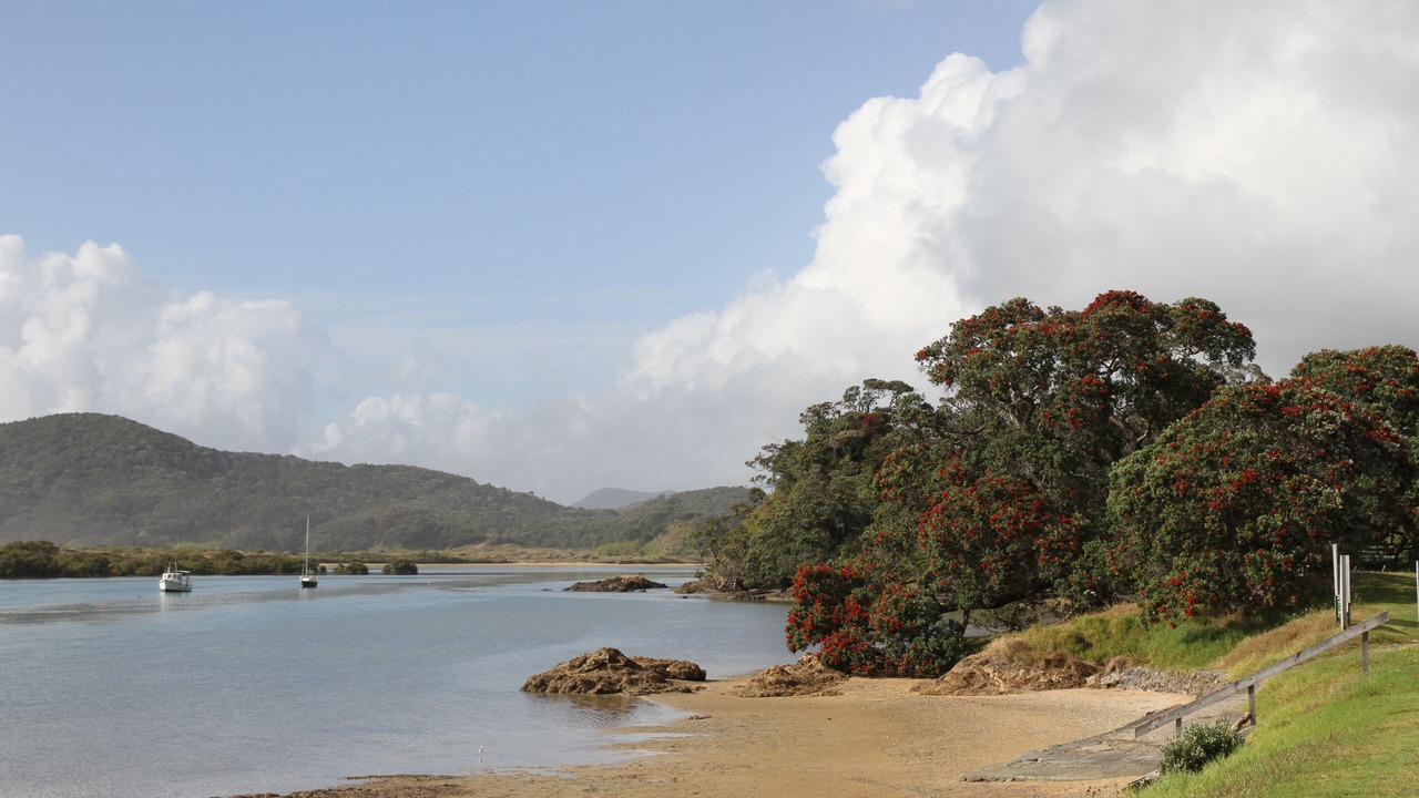 Photo of Others in Ngunguru