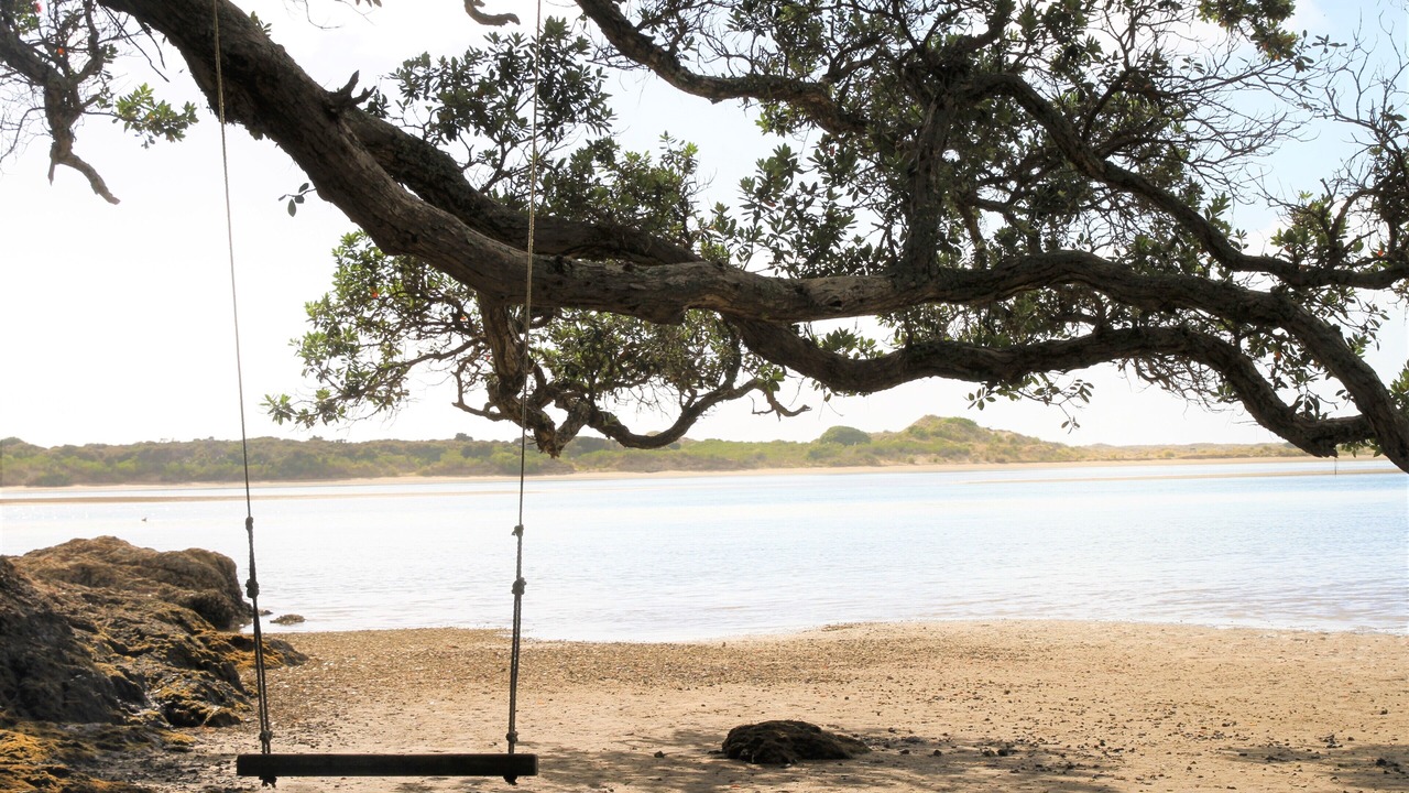 Photo of Others in Ngunguru