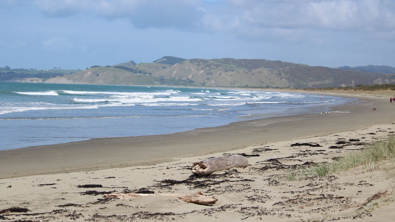 Photo of Others in Mahia