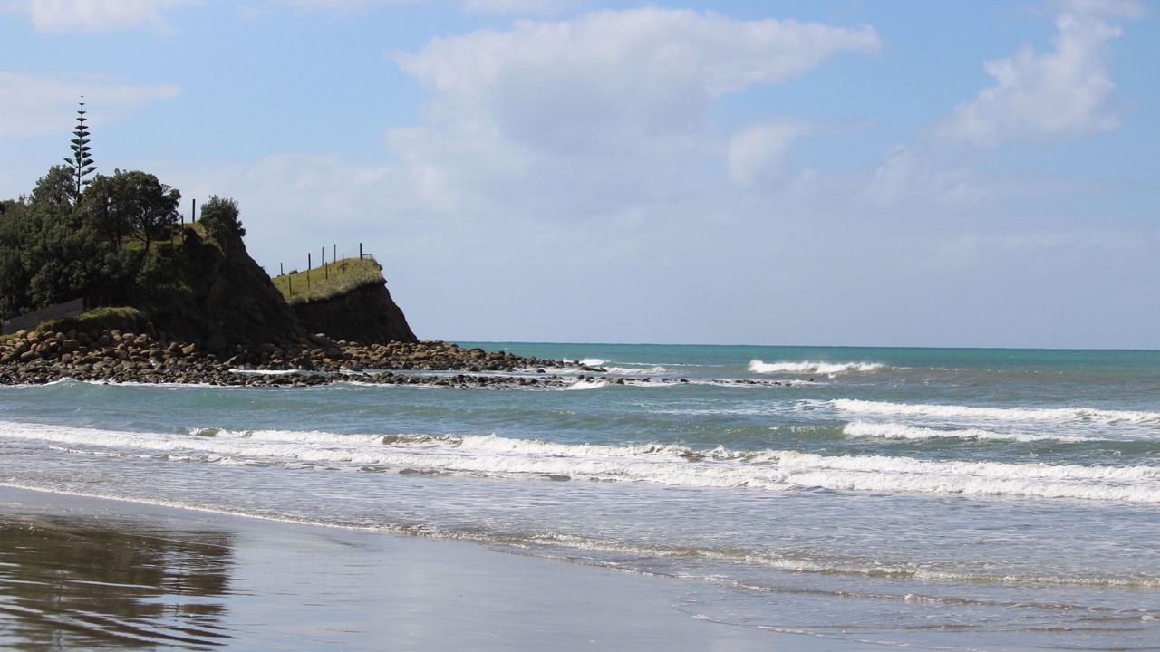 Photo of Others in Mahia