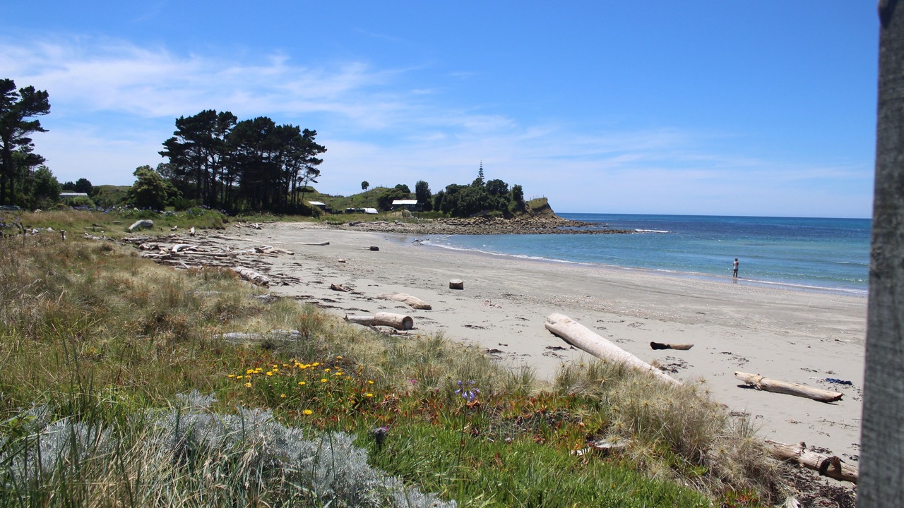 Photo of Others in Mahia