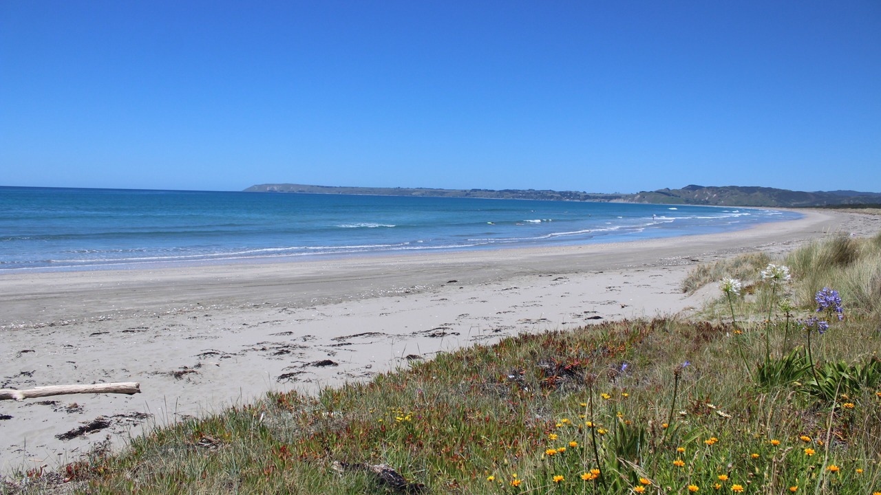 Photo of Others in Mahia