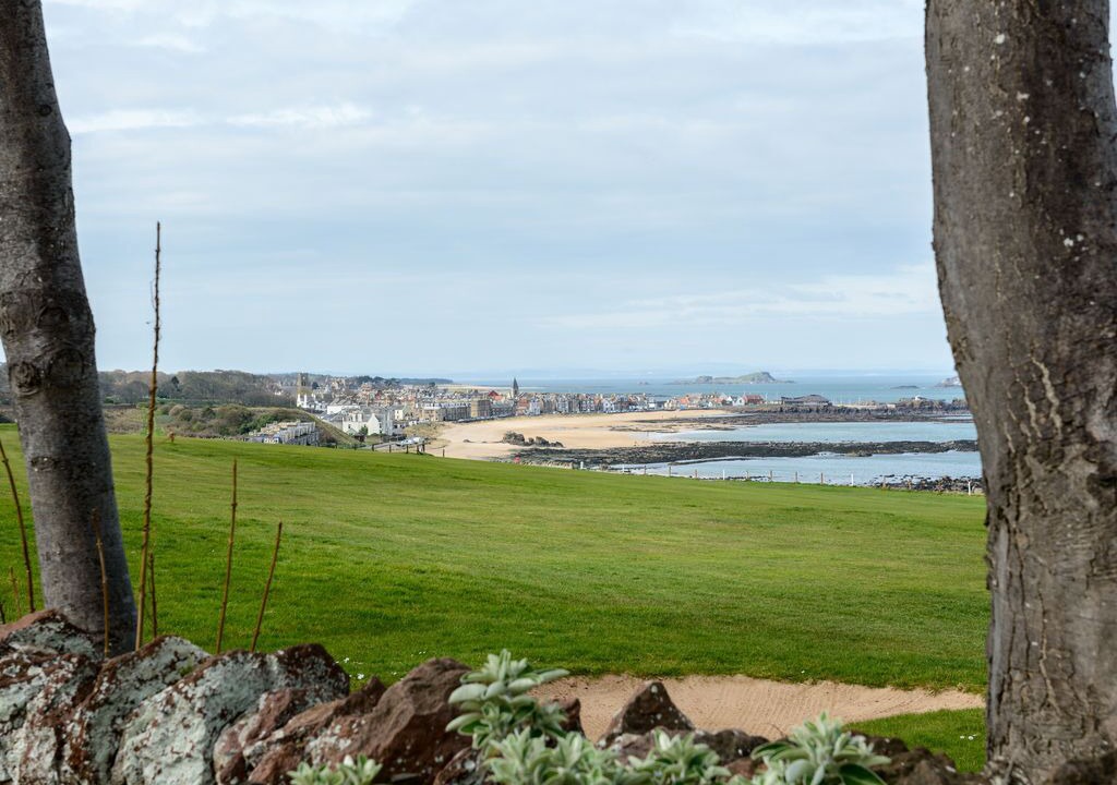 Photo of Others in North Berwick