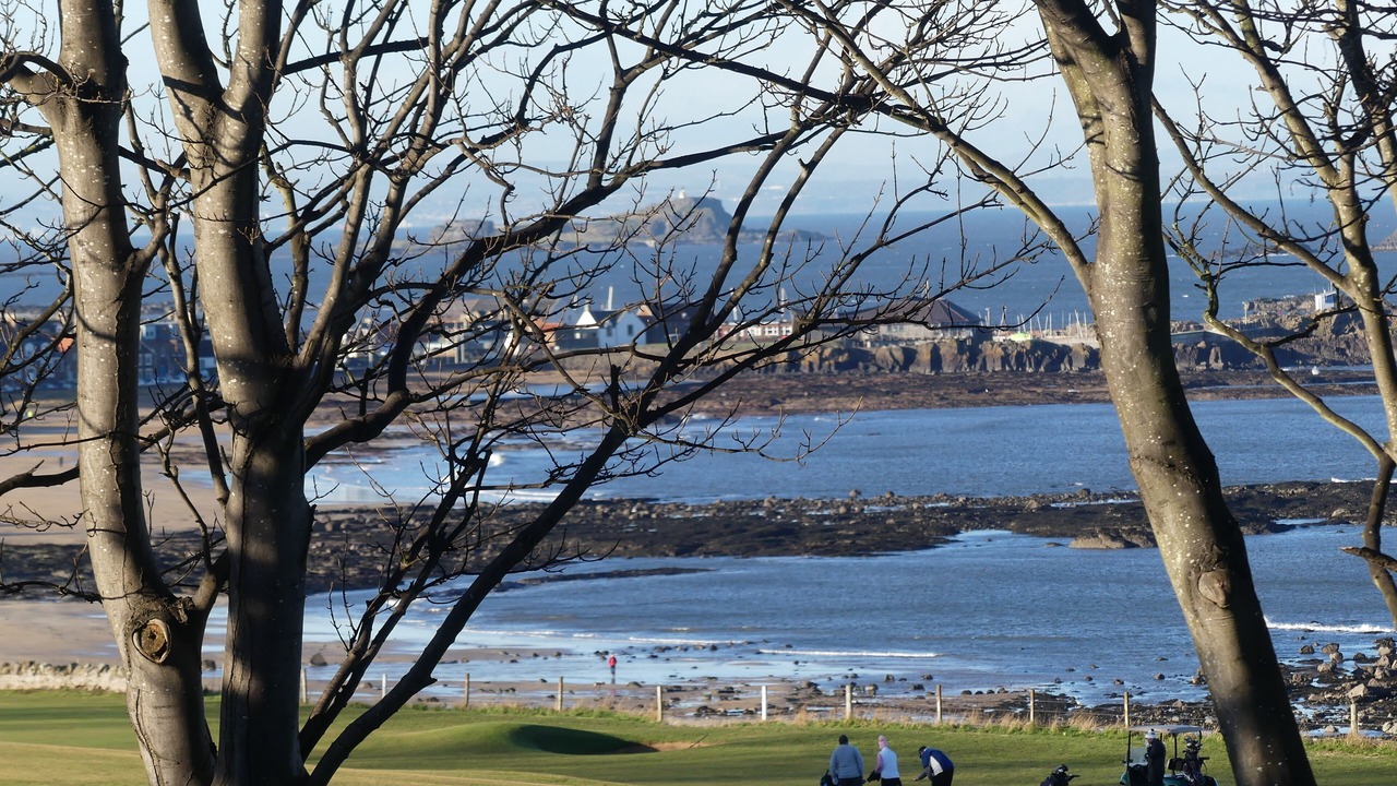 Photo of Others in North Berwick