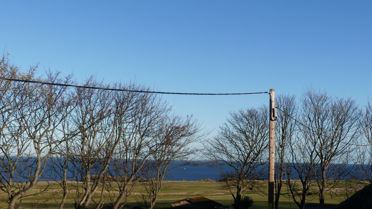 Photo of Others in North Berwick