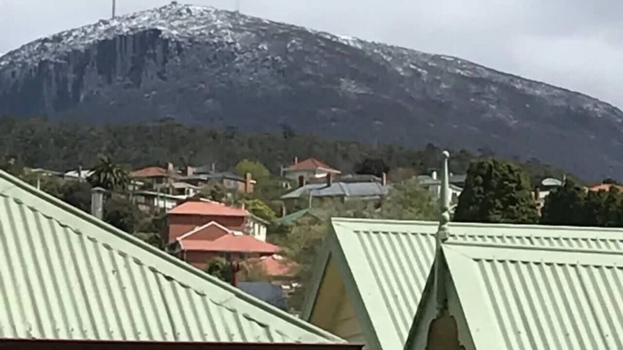 Photo of Others in North Hobart