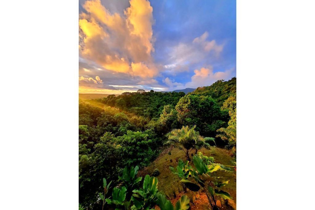 Photo of Outdoor in Savegre