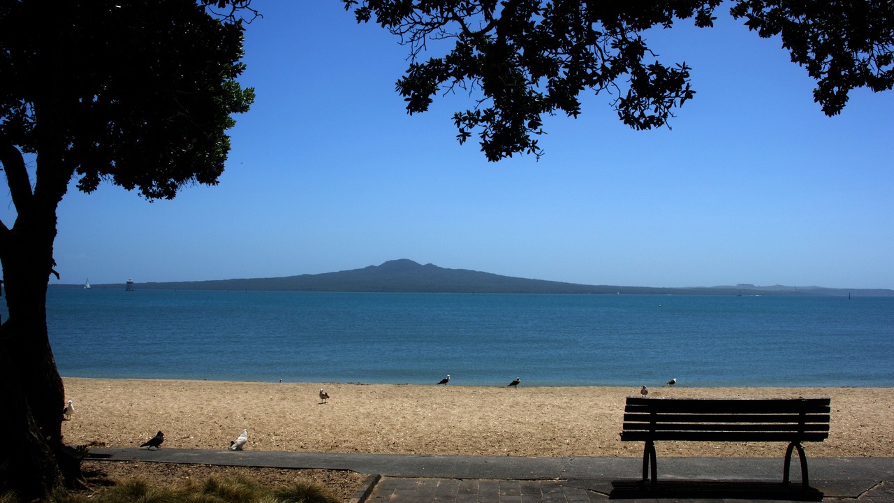 Photo of Others in Mission Bay