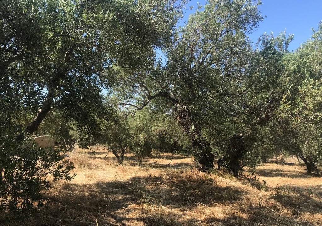 Photo of Outdoor in Douliana