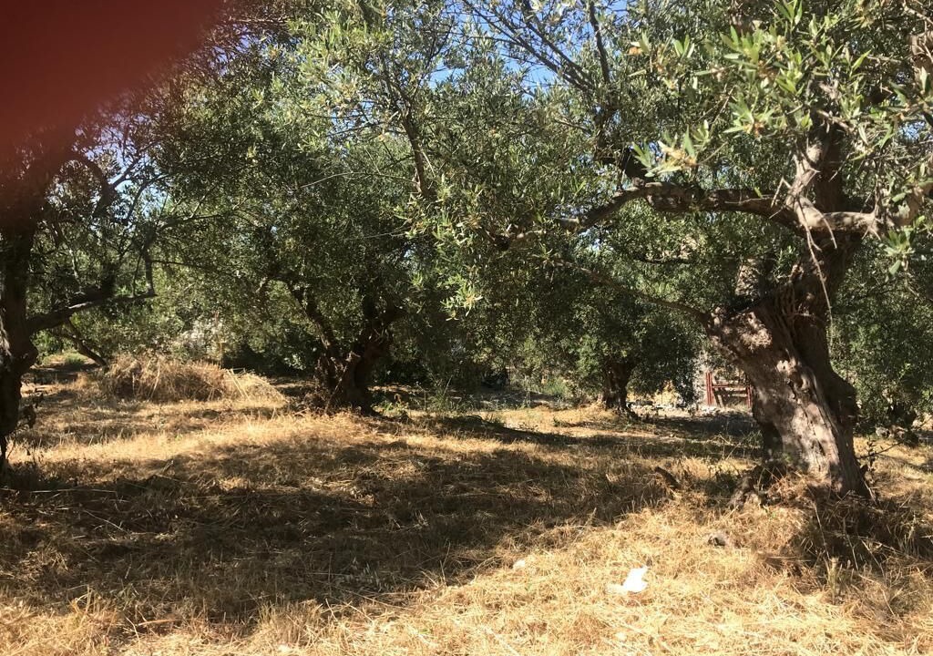 Photo of Outdoor in Douliana