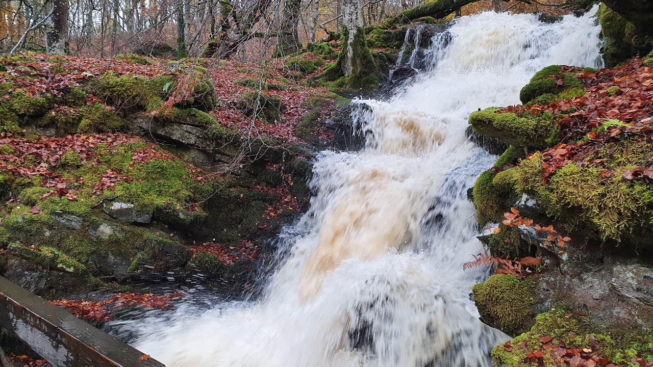 Photo of Outdoor in Aberfeldy