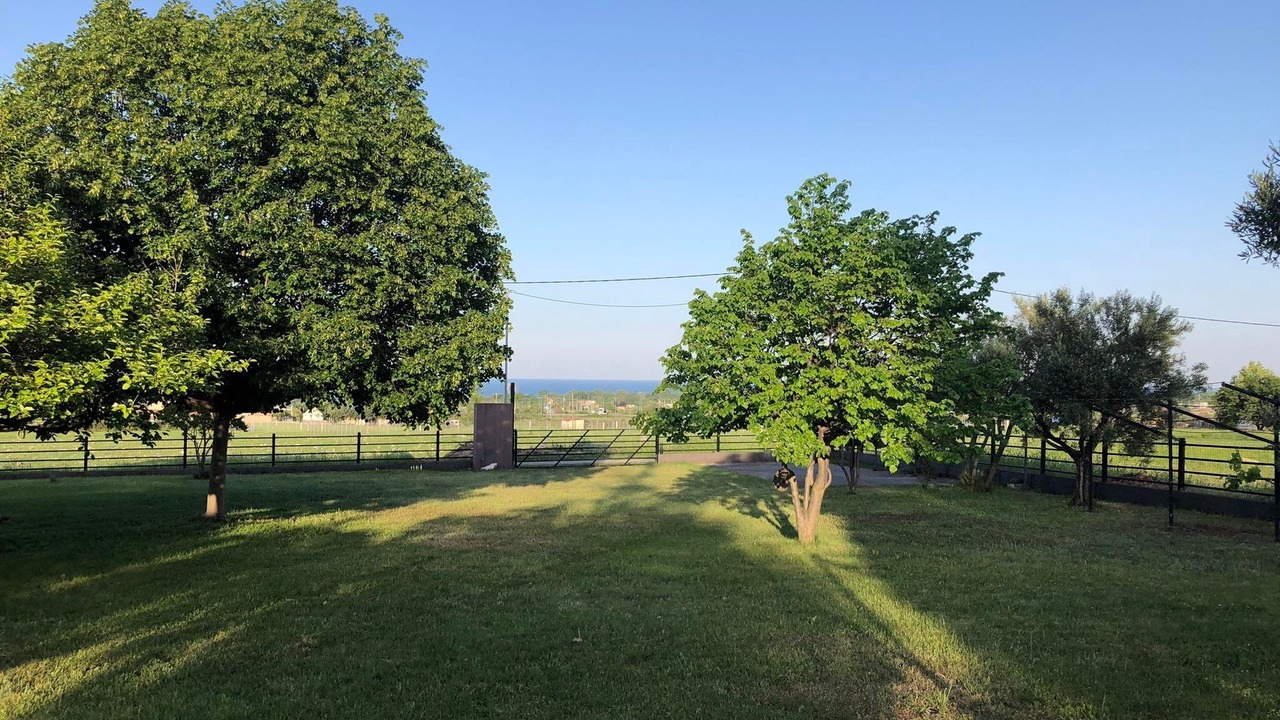Photo of Outdoor in Leptokaria
