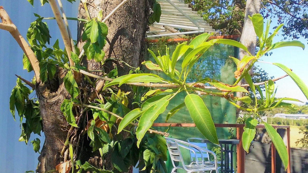 Photo of Outdoor in Guachipelin
