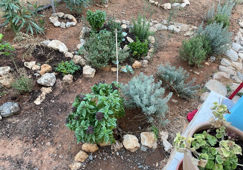 Photo of Outdoor in Minoa Pediada