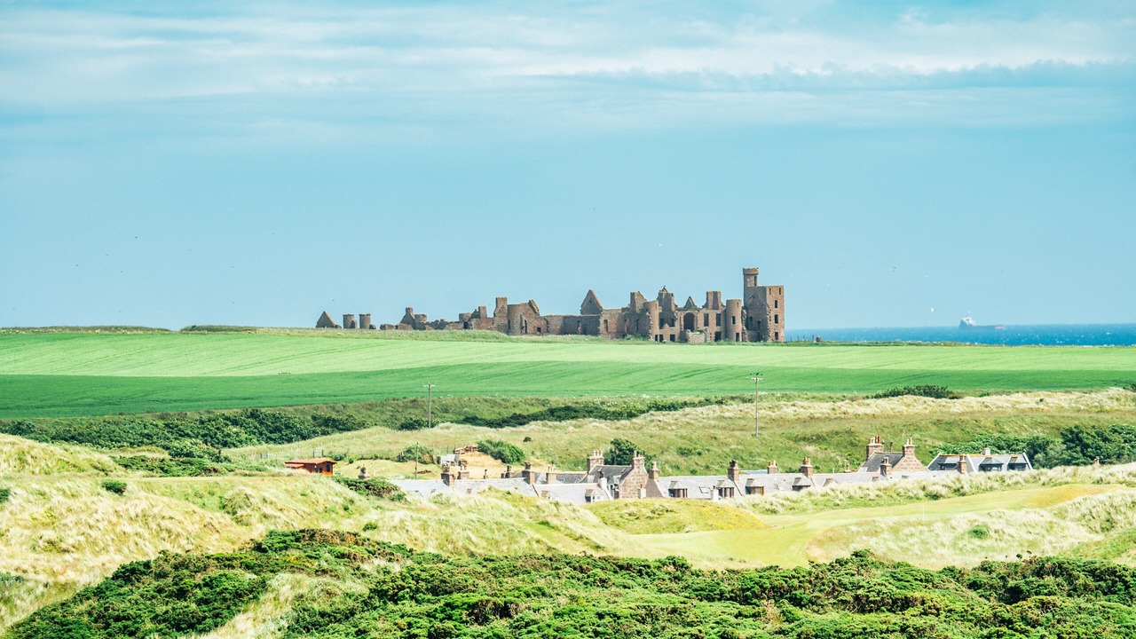 Photo of Others in Cruden Bay