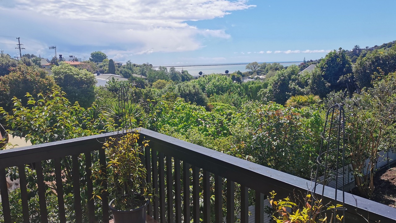 Photo of Outdoor in Nelson