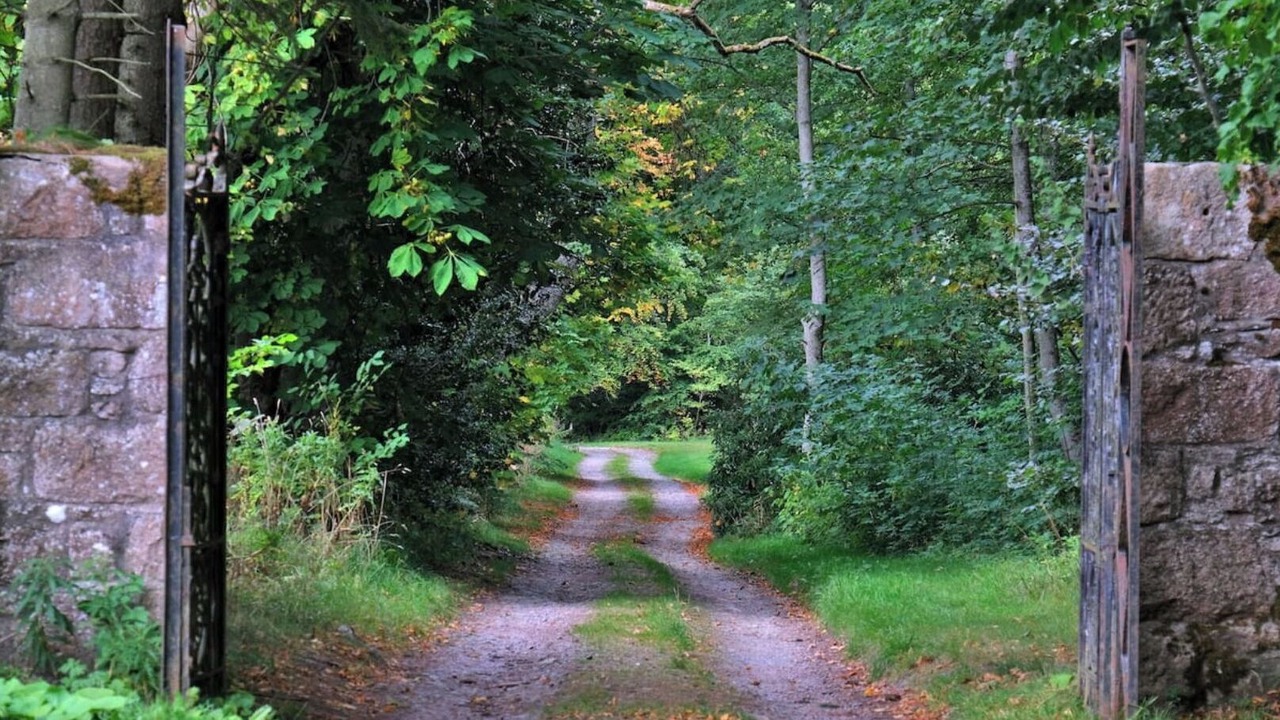 Photo of Outdoor in Insch