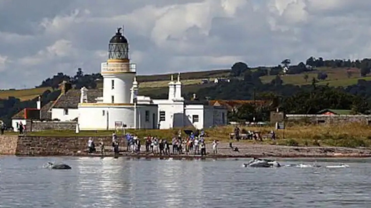 Photo of Outdoor in Fortrose
