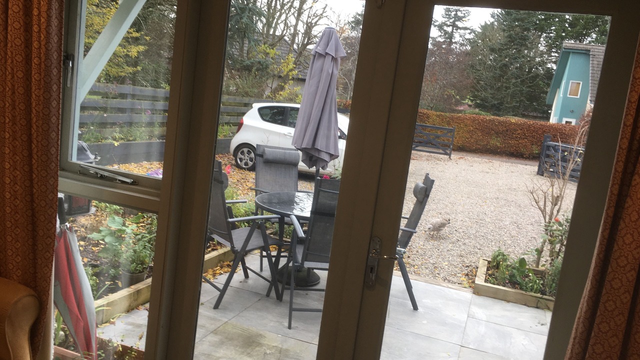 Photo of Outdoor in Fortrose