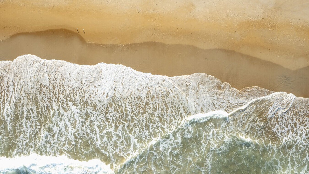 Photo of Others in Scamander