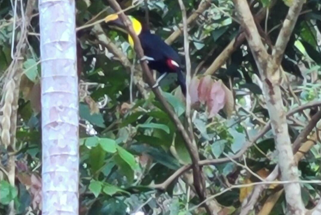 Photo of Others in San Isidro de El General