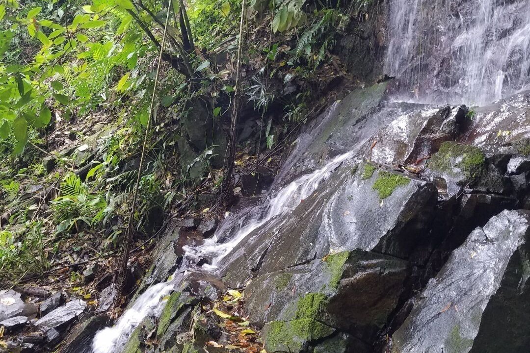 Photo of Others in San Isidro de El General