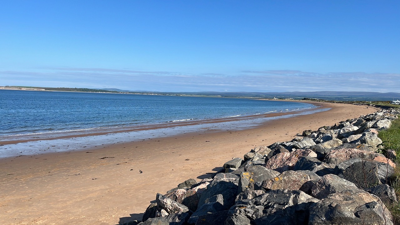 Photo of Others in Fortrose