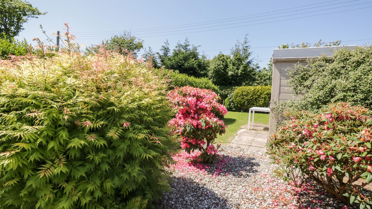 Photo of Outdoor in Powfoot