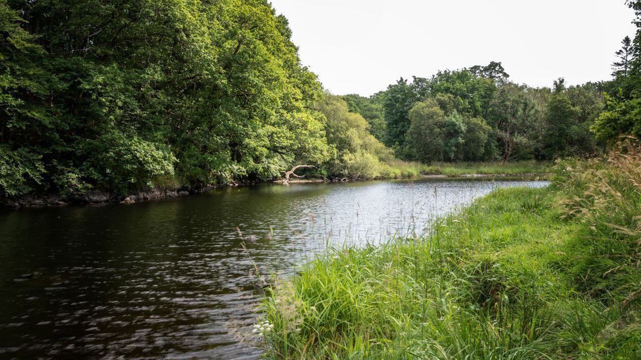 Photo of Outdoor in Newton Stewart