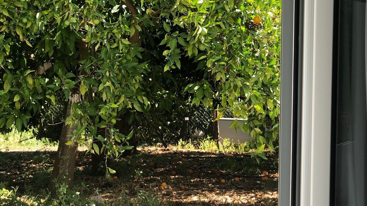 Photo of Others in Melissopetra