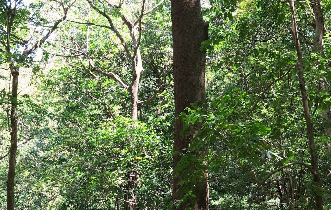 Photo of Outdoor in Tajo Alto