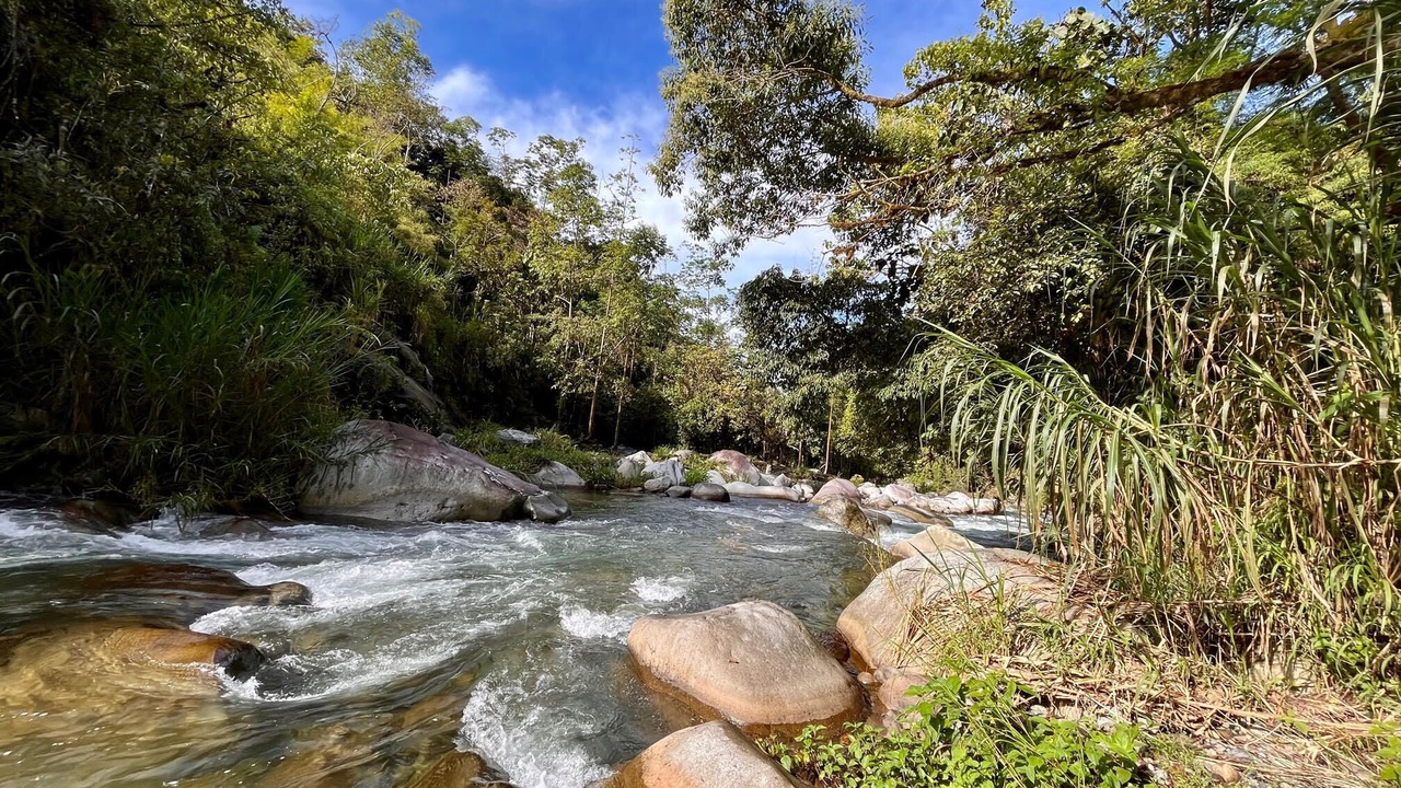 Photo of Outdoor in Rivas