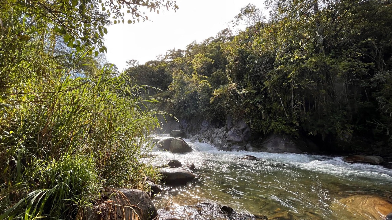 Photo of Outdoor in Rivas
