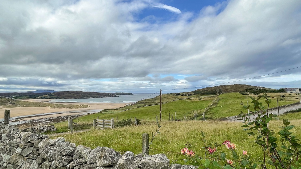 Photo of Others in Thurso