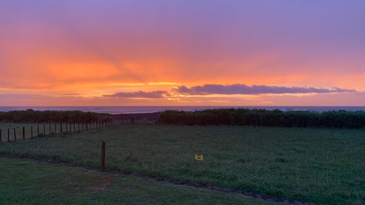 Photo of Others in Warea