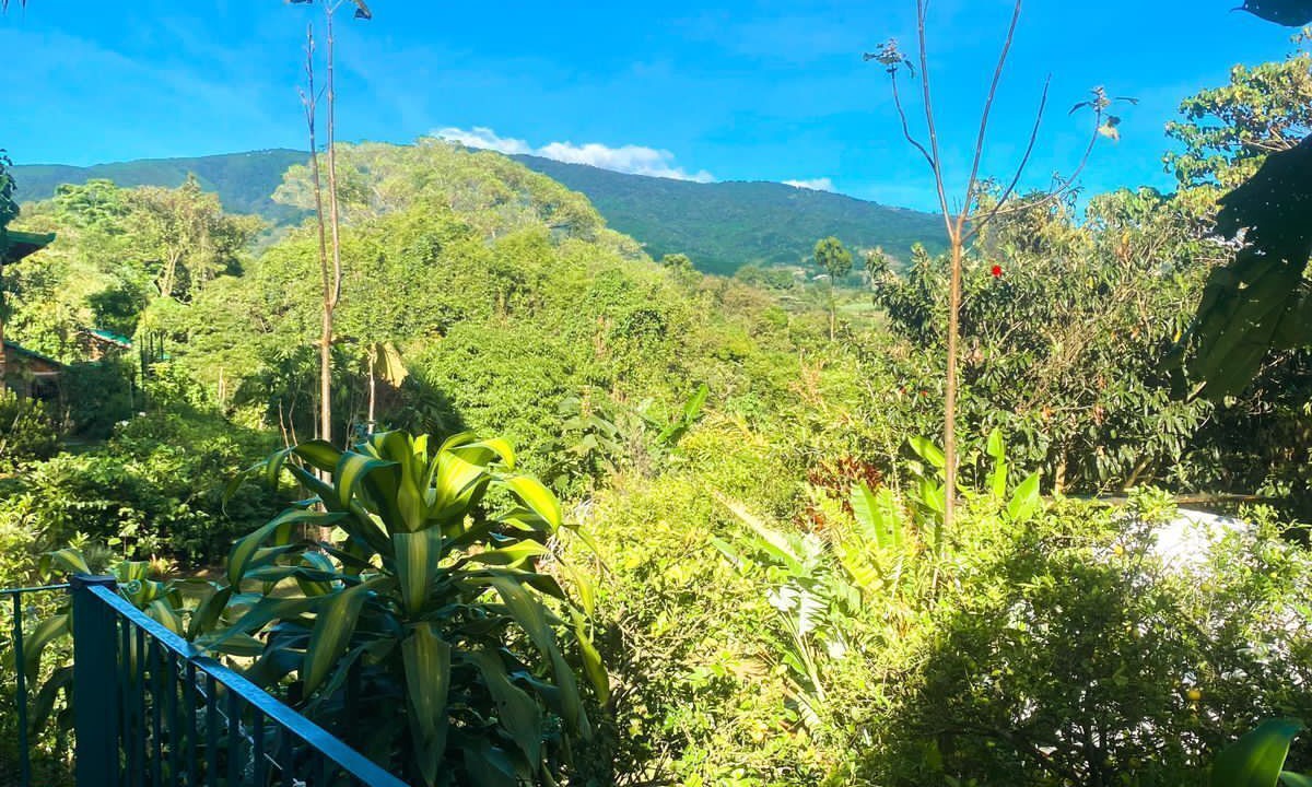 Photo of Outdoor in San Miguel