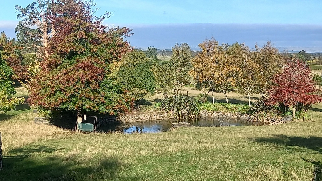 Photo of Outdoor in Feilding
