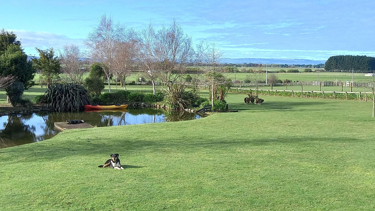 Photo of Others in Feilding